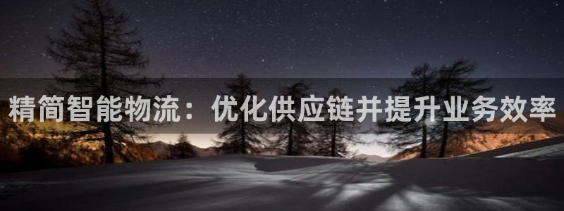 南宫28圈怎么注册：精简智能物流：优