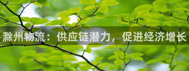 28圈头像