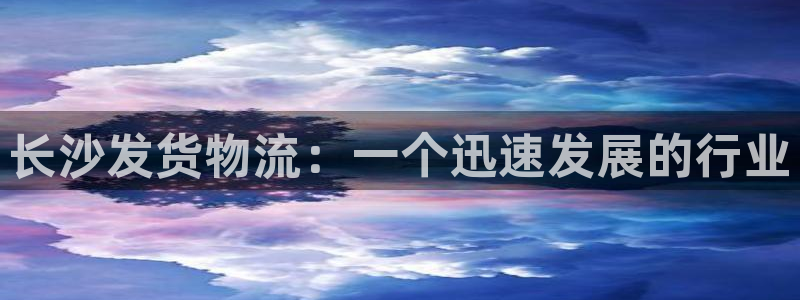28圈注册网站:长沙发货物流:一个迅