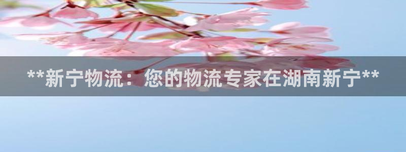 28圈链接来一个