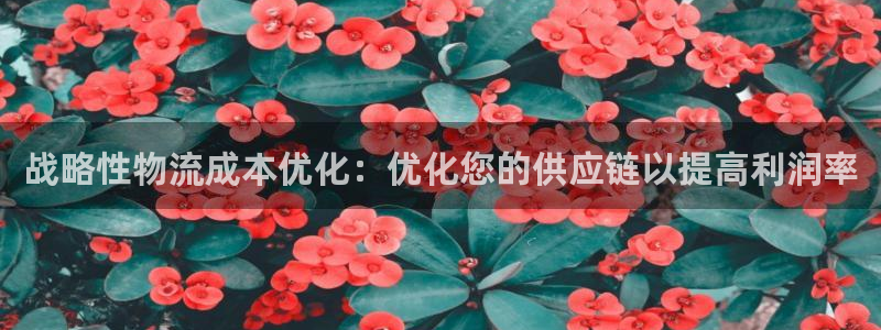 28圈人头费