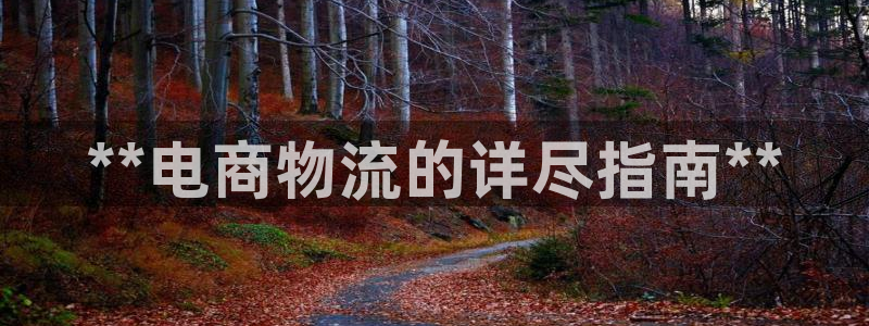 28圈ccm官网版