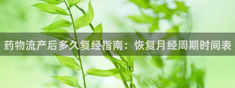 28圈怎么下载不了