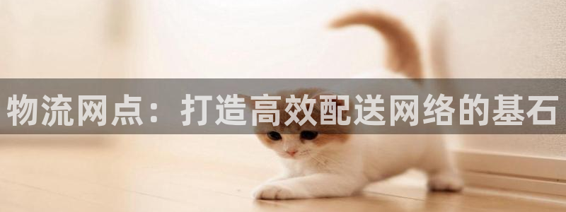 28圈官网预测