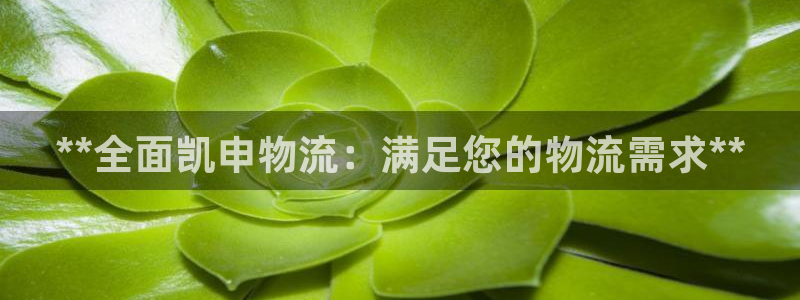 28圈加拿大：**全面凯申物流：满足