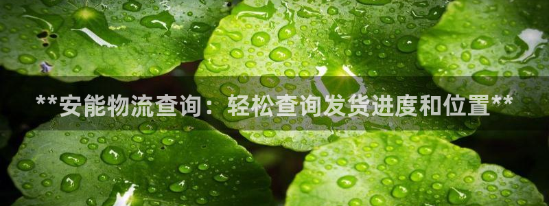 28圈注册号：**安能物流查询：轻松