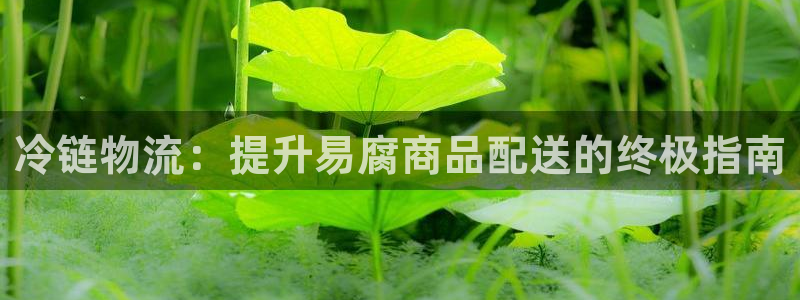 28圈是干嘛的