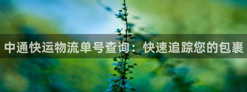 28圈游戏官网平台