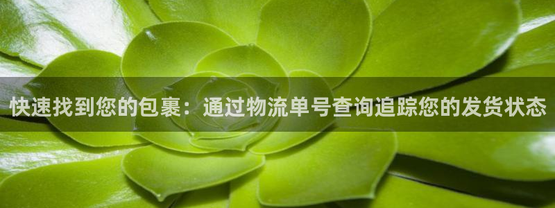 28圈激活码：快速找到您的包裹：通过