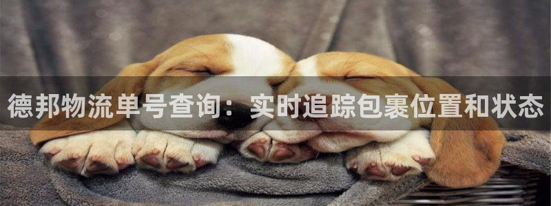 28圈注册过了警察知道吗：德邦物流单