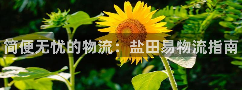 28圈.ccmpc是诈骗吗?