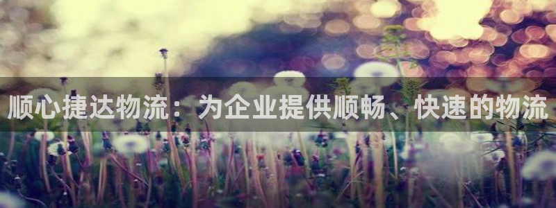 28圈正规吗?