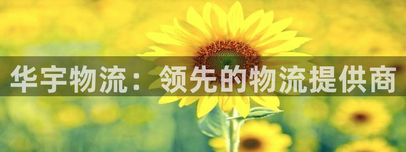 28圈注册网站链接：华宇物流：领先的