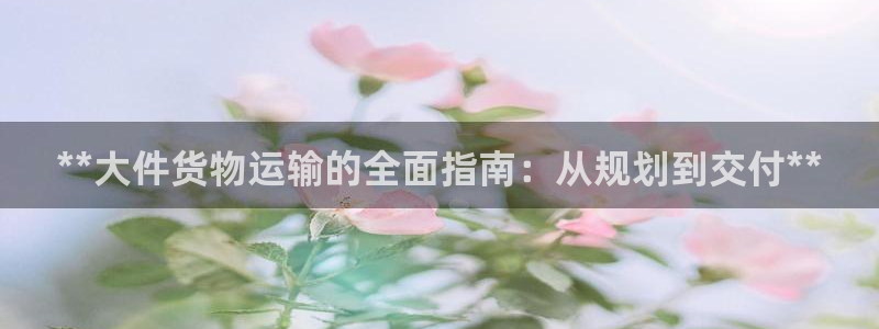28圈加拿大官网：**大件货物运输的