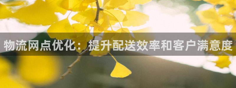 28圈注册用户名是什么：物流网点优化