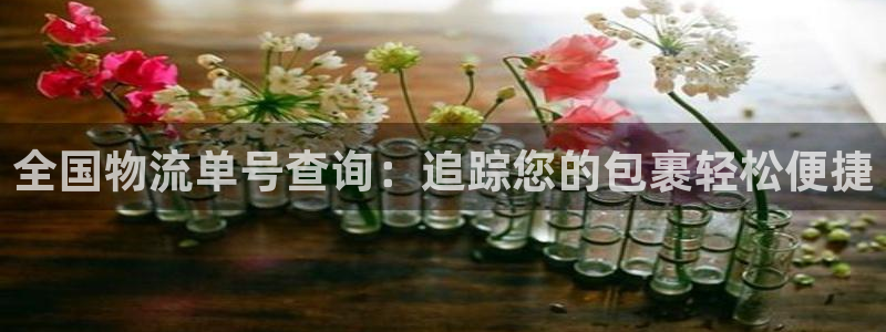 28圈注册网站APP：全国物流单号查