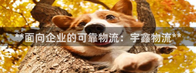 28圈官方版网站