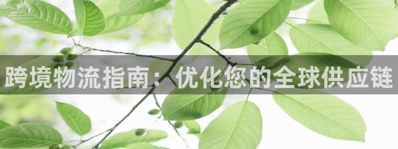 28圈正规吗：跨境物流指南：优化您的