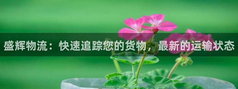 28圈注册网站链接怎么弄：盛辉物流：