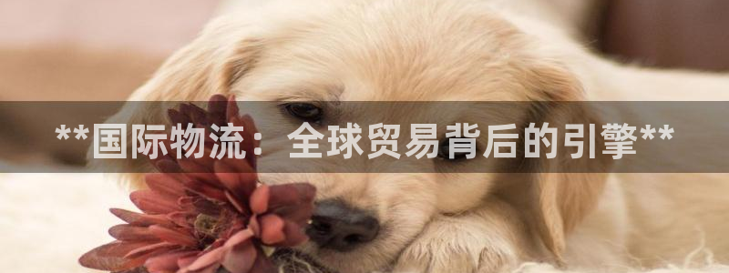 28圈圈：**国际物流：全球贸易背后