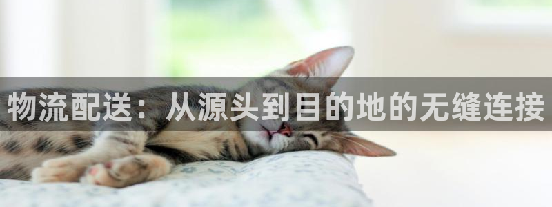 28圈下载体育：物流配送：从源头到目