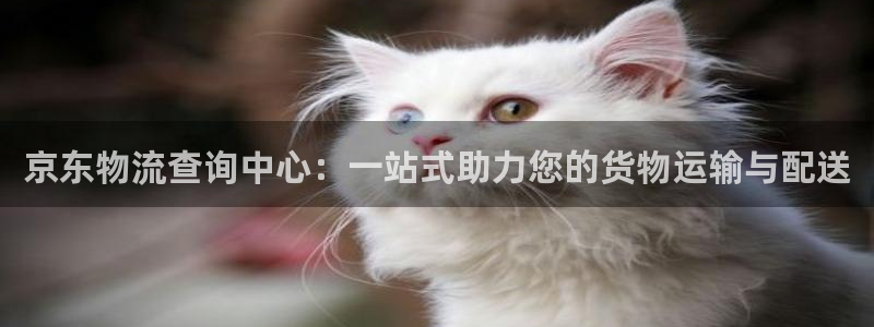 28圈官网开奖结果预测查询：京东物流