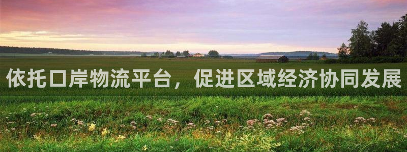 28圈游戏官网入口：依托口岸物流平台