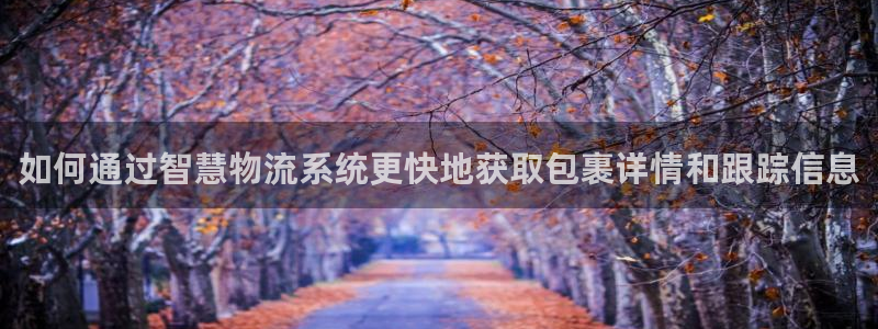 28圈女王中奖记录查询