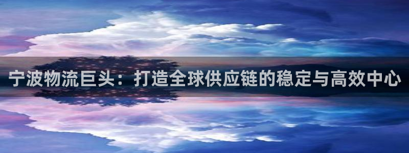 28圈登录网：宁波物流巨头：打造全球