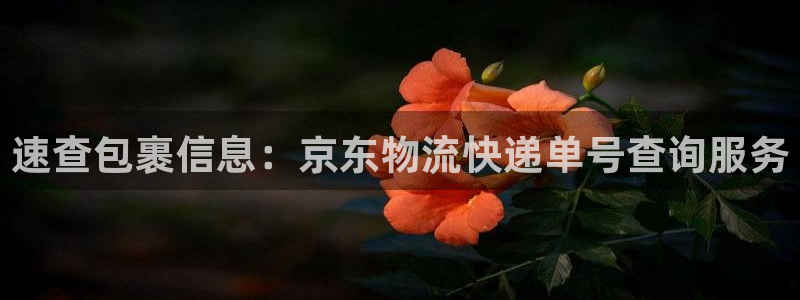 28圈充值不到账怎么办：速查包裹信息