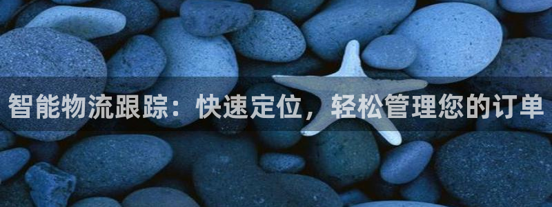 28圈官方网站是多少