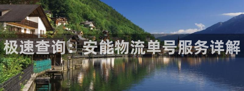 28圈链接来一个：极速查询：安能物流单号服务详解