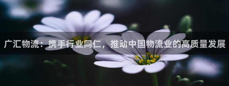 28圈加拿大模拟器：广汇物流：携手行