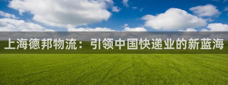 28圈龙虎：上海德邦物流：引领中国快