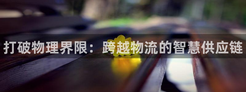 28圈怎么注册账号和密码：打破物理界