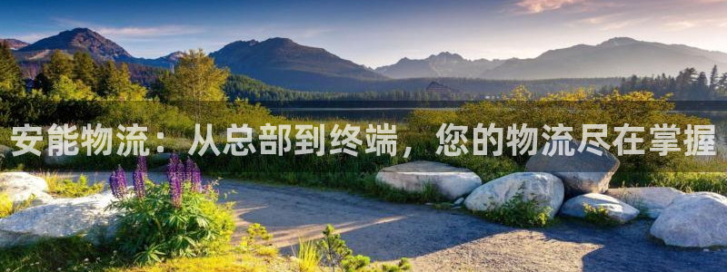 28圈是什么是赌博吗?：安能物流：从总部到终端，您的物流尽在