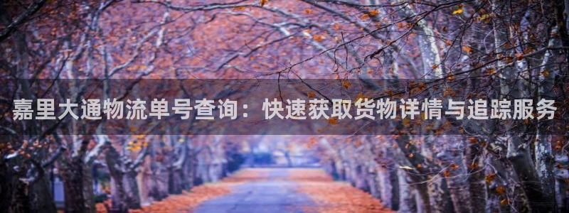 28圈模拟器在线玩：嘉里大通物流单号