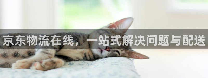 28圈链接多少：京东物流在线，一站式