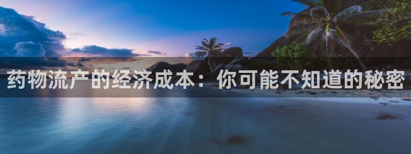28圈代理落网