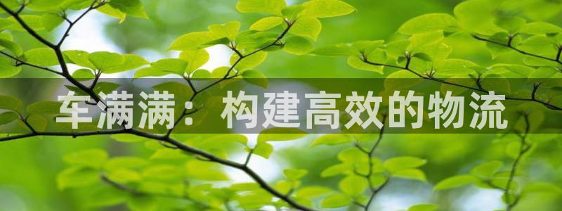 28圈那个才是充值账号：车满满：构建