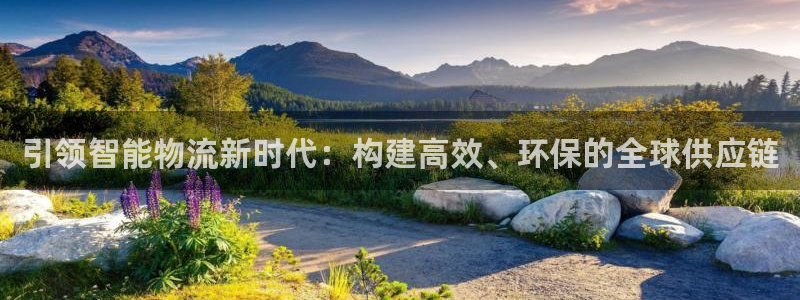 28圈p图上分下款通道：引领智能物流