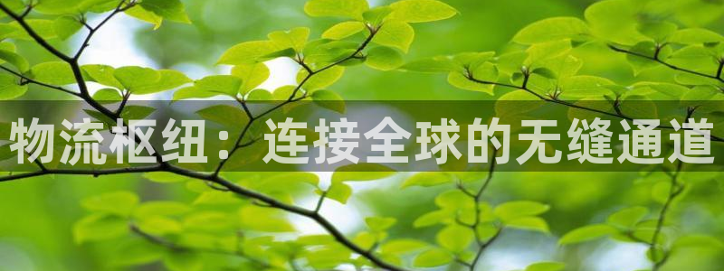 28圈.ccmapp：物流枢纽：连接