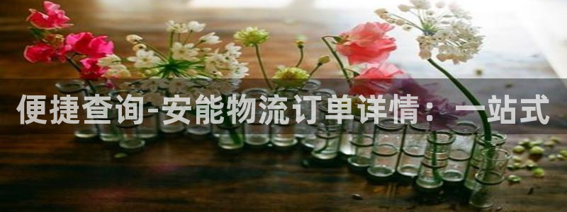 28圈注册问一问：便捷查询-安能物流订单详情：一站式