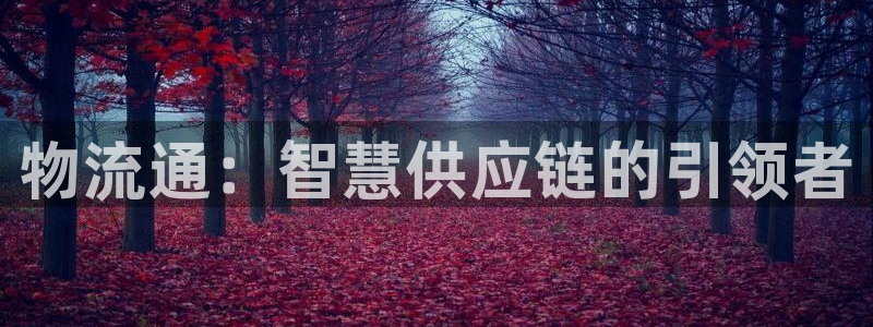 28圈黑款