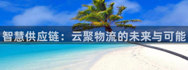 28圈官方网站预测：智慧供应链：云聚
