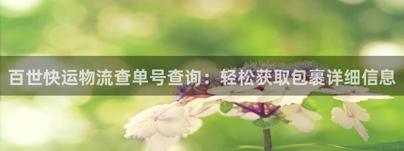 28圈犯法吗：百世快运物流查单号查询