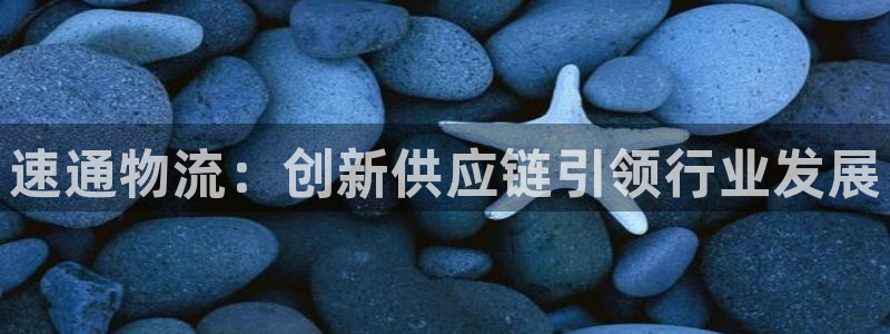 28圈龙虎