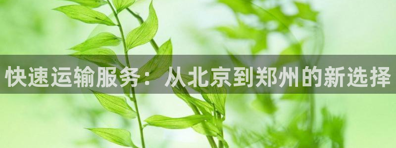 28圈取保：快速运输服务：从北京到郑
