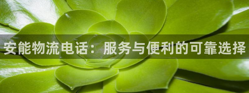 28圈系统自动保护：安能物流电话：服