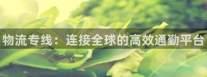 自行车28圈是什么意思：物流专线：连